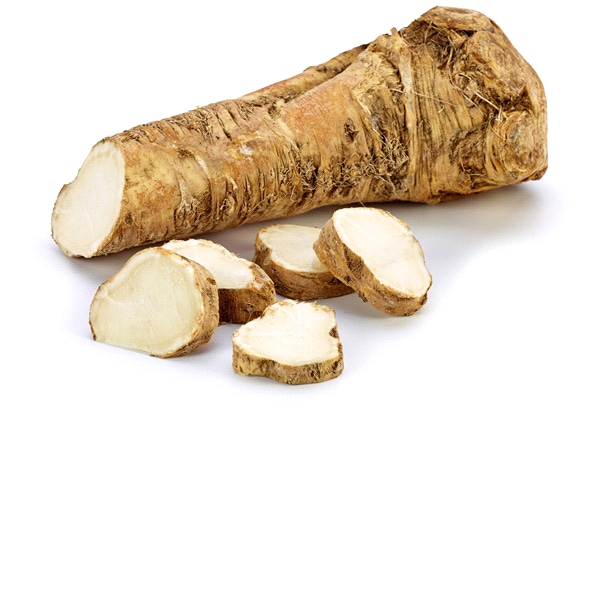 where to buy horseradish root near me